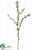 Flowering Blossom Spray - Green - Pack of 12