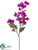 Bougainvillea Spray - Purple Orchid - Pack of 12