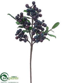Berry Spray - Blue - Pack of 24