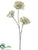 Blossom Spray - White Green - Pack of 12