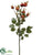 Rose Hip Spray - Burgundy - Pack of 12