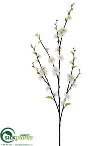 Cherry Blossom Spray - Cream - Pack of 12