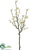 Quince Blossom Branch - Cream - Pack of 12
