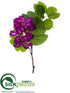 Silk Plants Direct Bauhinia Spray - Boysenberry - Pack of 12