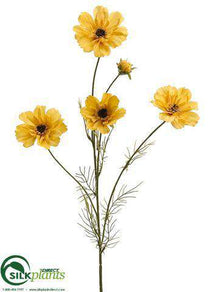 Cosmos Spray - Yellow - Pack of 12