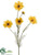 Cosmos Spray - Yellow - Pack of 12