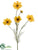 Cosmos Spray - Yellow - Pack of 12