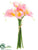 Calla Lily Bundle - Pink - Pack of 12