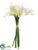 Calla Lily Bundle - White - Pack of 12