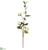 Silk Plants Direct Camellia Spray - Cream - Pack of 12