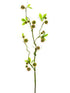 Silk Plants Direct Chestnut Spray - Green Mauve - Pack of 12