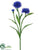 Cornflower Spray - Blue - Pack of 12