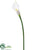 Silk Plants Direct Calla Lily Spray - White - Pack of 12