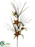 Silk Plants Direct Clematis Spray - Cinnamon - Pack of 6