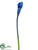 Calla Lily Spray - Blue - Pack of 12