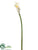 Calla Lily Spray - White - Pack of 12