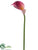 Calla Lily Spray - Boysenberry Cream - Pack of 12