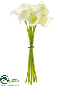 Calla Lily Bundle - White - Pack of 6