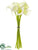 Calla Lily Bundle - White - Pack of 6