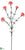 Carnation Spray - Coral - Pack of 12