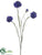 Cornflower Spray - Blue - Pack of 12