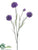 Cornflower Spray - Lavender - Pack of 12