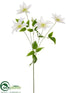 Silk Plants Direct Clematis Spray - Cream White - Pack of 12