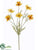 Cosmos Spray - Yellow - Pack of 12