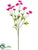 Silk Plants Direct Cosmos Spray - Beauty - Pack of 12