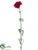 Carnation Spray - Burgundy - Pack of 12