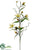 Clematis Spray - Yellow Cream - Pack of 6