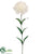 Carnation Spray - Cream - Pack of 12