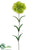 Carnation Spray - Green Two Tone - Pack of 12
