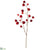 Chinese Lantern Spray - Burgundy - Pack of 12