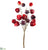 Chinese Lantern Bundle - Burgundy Red - Pack of 12