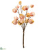 Silk Plants Direct Chinese Lantern Bundle - Pink Cream - Pack of 12
