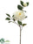 Camellia Spray - White - Pack of 12