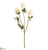 Clematis Bud Spray - White - Pack of 12