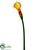 Calla Lily Spray - Salmon Yellow - Pack of 12