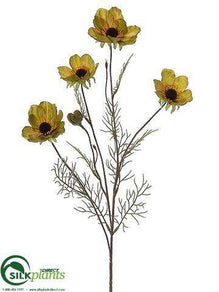 Cosmos Spray - Olive Green - Pack of 12