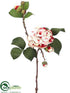 Silk Plants Direct Velvet Camellia Spray - Watermelon Cream - Pack of 12