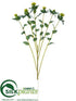 Silk Plants Direct Carthamus Spray - Green - Pack of 12