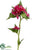Campanula Spray - Fuchsia Pink - Pack of 12