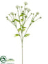 Silk Plants Direct Cornflower Spray - White - Pack of 12