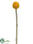 Billy Buttons Spray - Yellow - Pack of 12