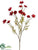 Cosmos Spray - Flame Brick - Pack of 12
