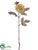 Dahlia Spray - Apricot Pink - Pack of 24