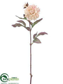 Dahlia Spray - Peach Mauve - Pack of 24