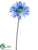 Gerbera Daisy Spray - Blue Helio - Pack of 12