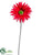 Gerbera Daisy Spray - Red - Pack of 12